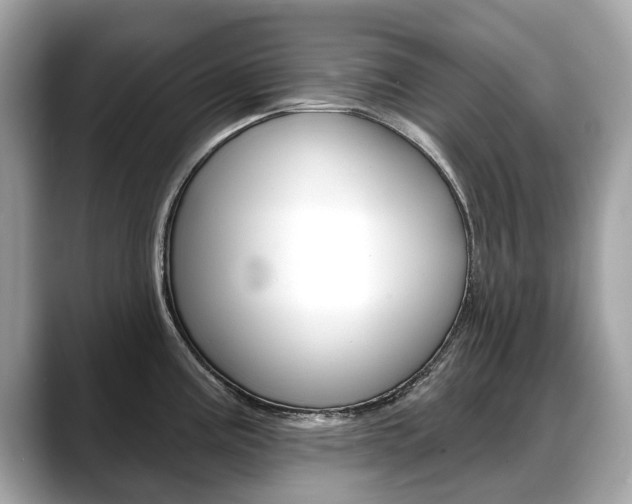X0000088711195200705311033