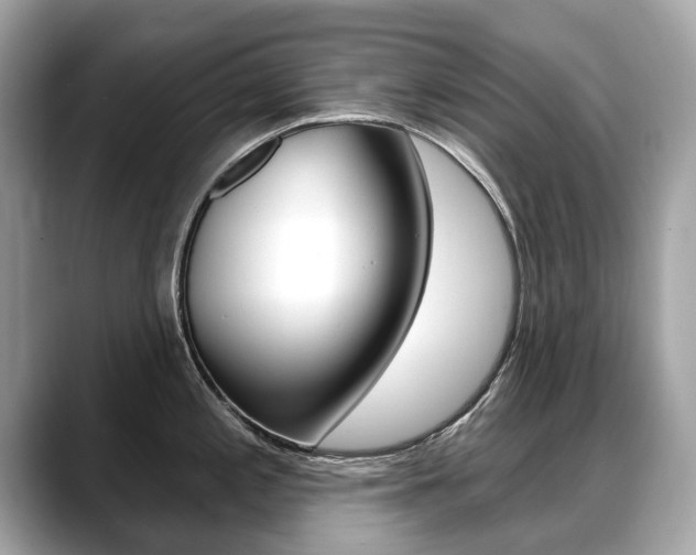 X0000088711197200705311033