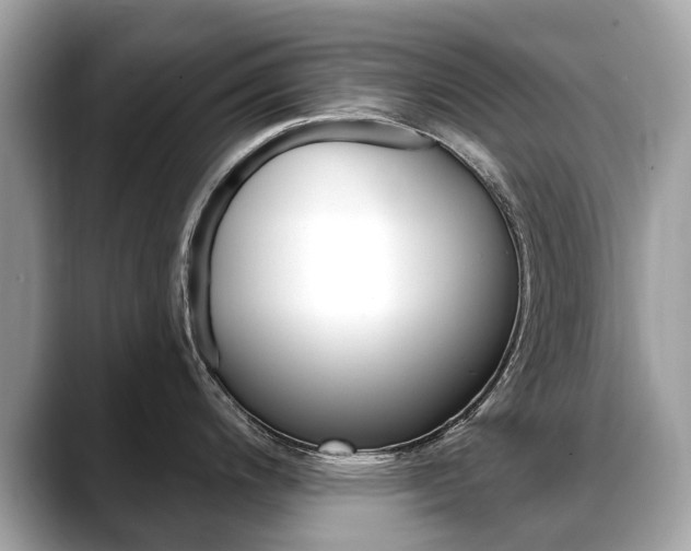 X0000088711200200705311033