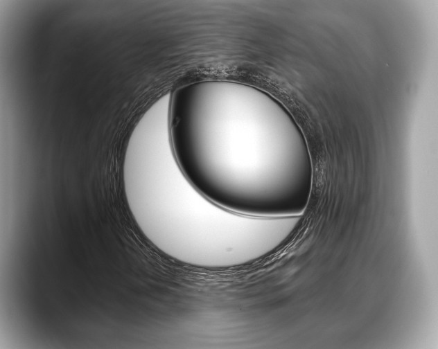 X0000088711202200705311032