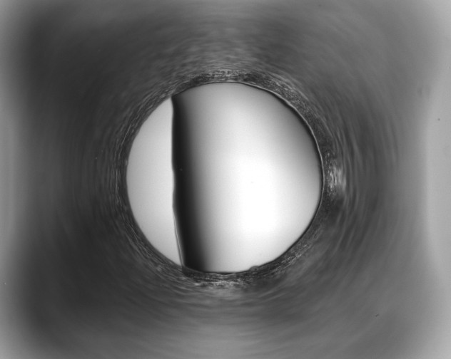 X0000088711204200705311032