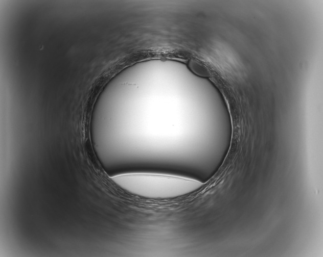 X0000088711205200705311032