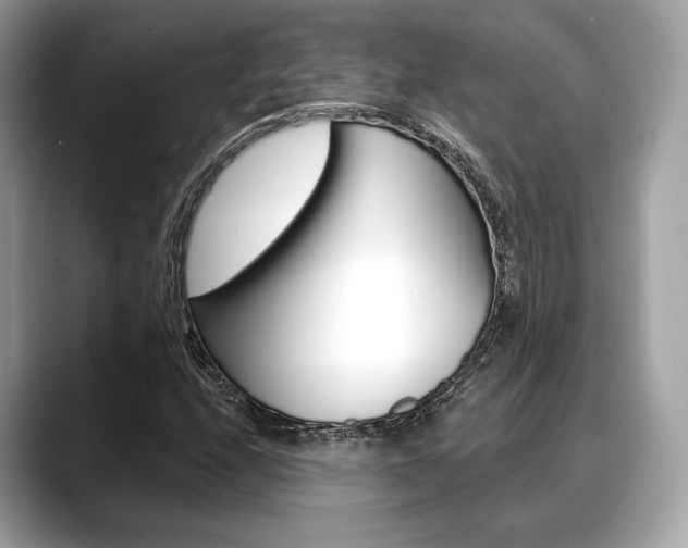 X0000088711208200705311032