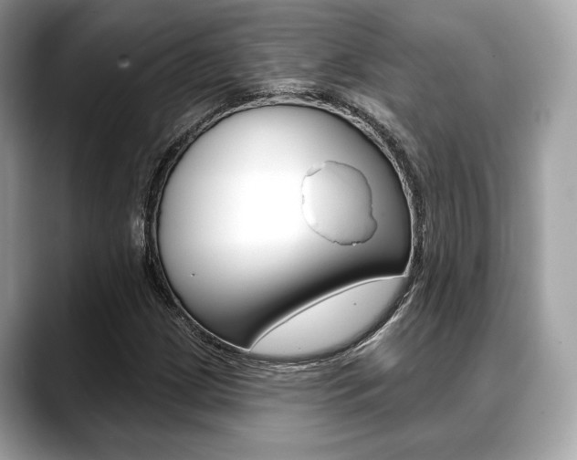 X0000088711209200705311032
