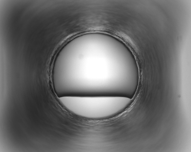 X0000088711212200705311032