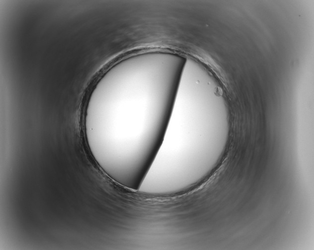 X0000088711216200705311032