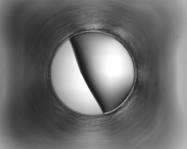 X0000088711217200705311032