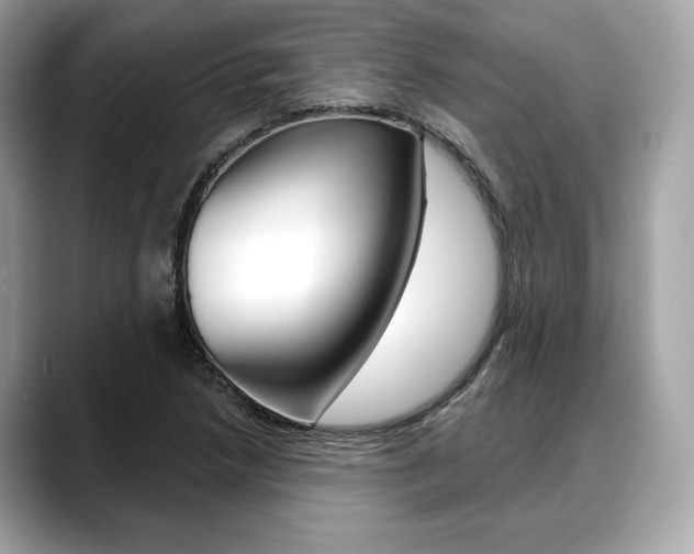 X0000088711218200705311032