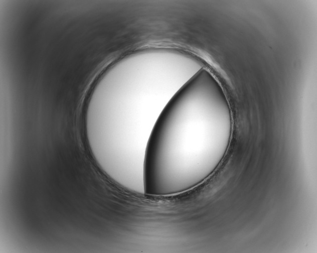 X0000088711221200705311032