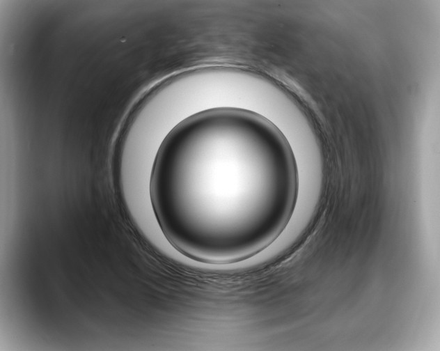 X0000088711222200705311032