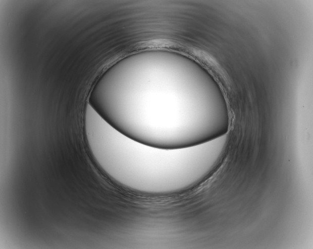X0000088711225200705311033