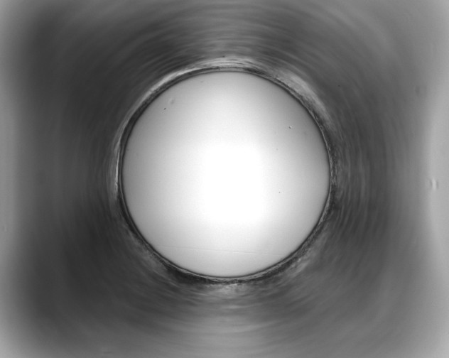 X0000088711228200705311033