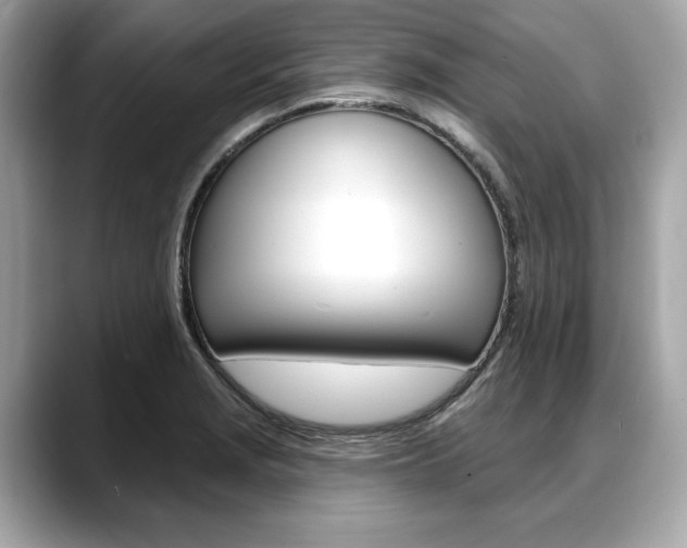 X0000088711229200705311033
