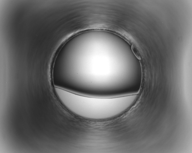 X0000088711230200705311033