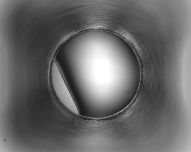 X0000088711234200705311033