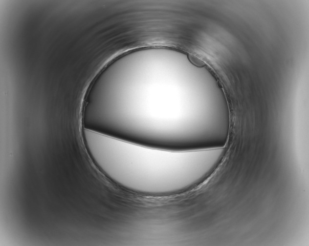 X0000088711236200705311033