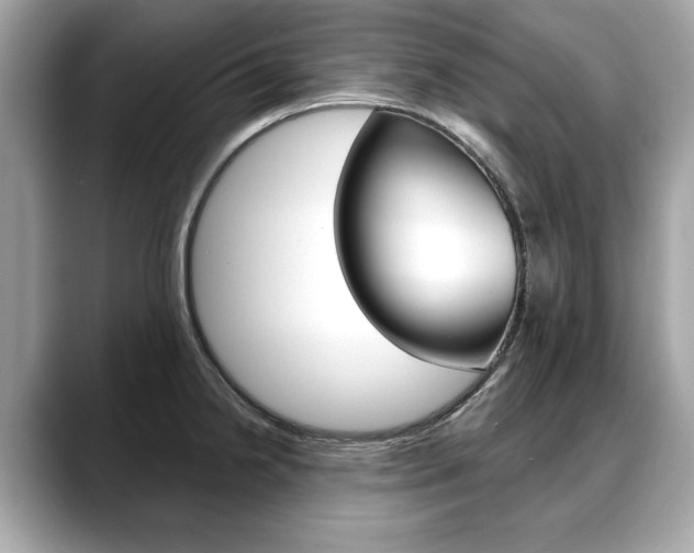 X0000088711238200705311033
