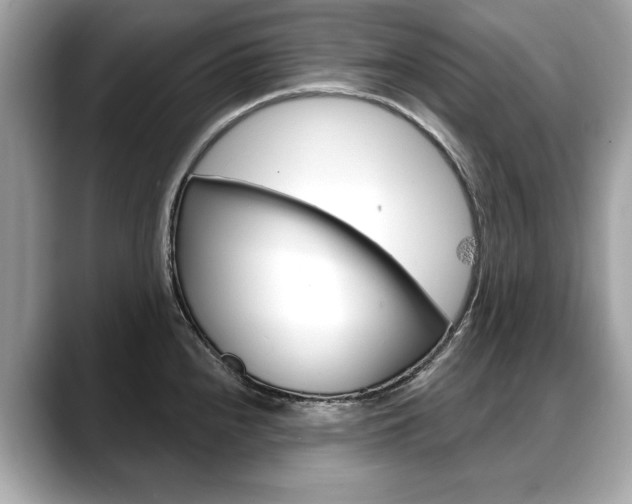 X0000088711240200705311033