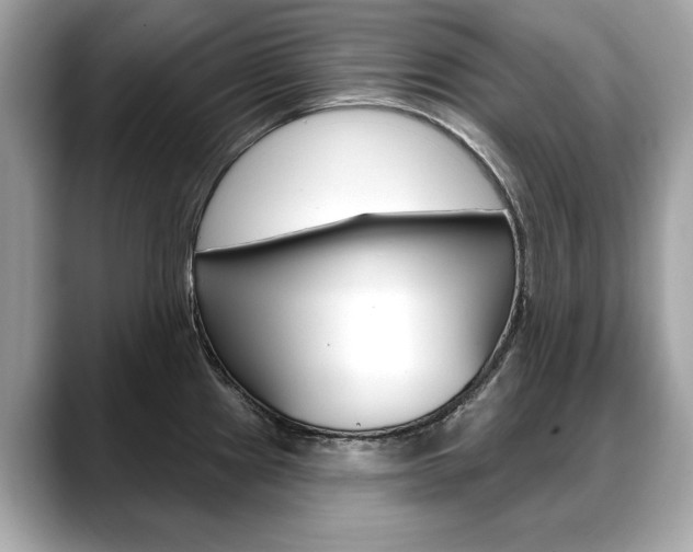 X0000088711241200705311033