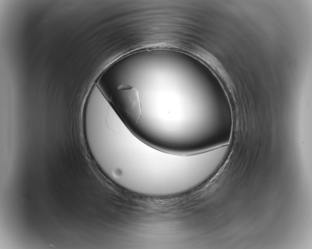 X0000088711242200705311033