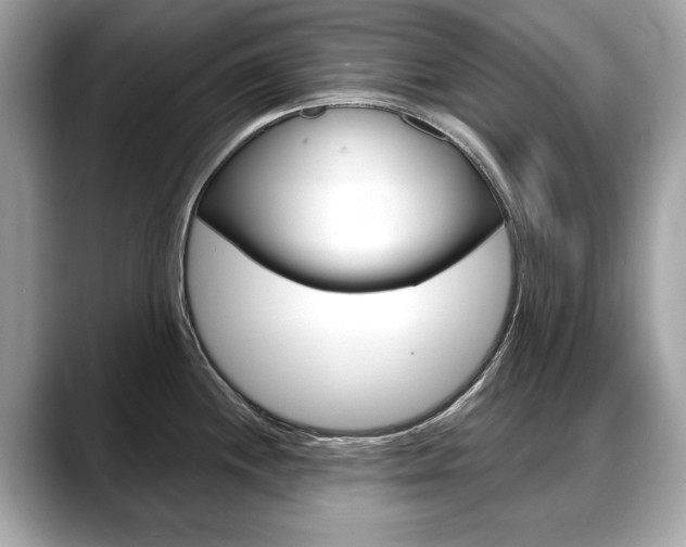 X0000088711244200705311033