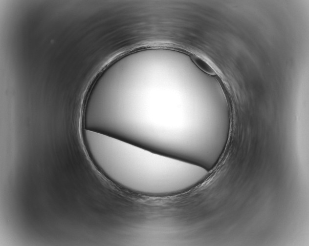 X0000088711245200705311033