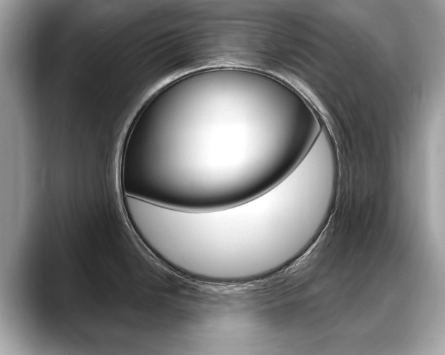 X0000088711246200705311033