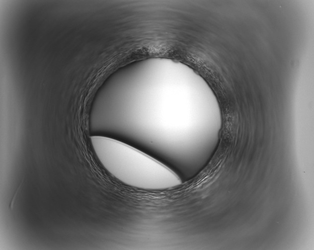 X0000088711249200705311032