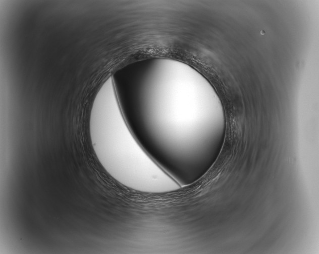 X0000088711250200705311032