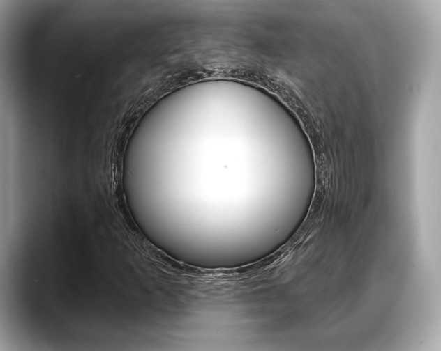 X0000088711253200705311032