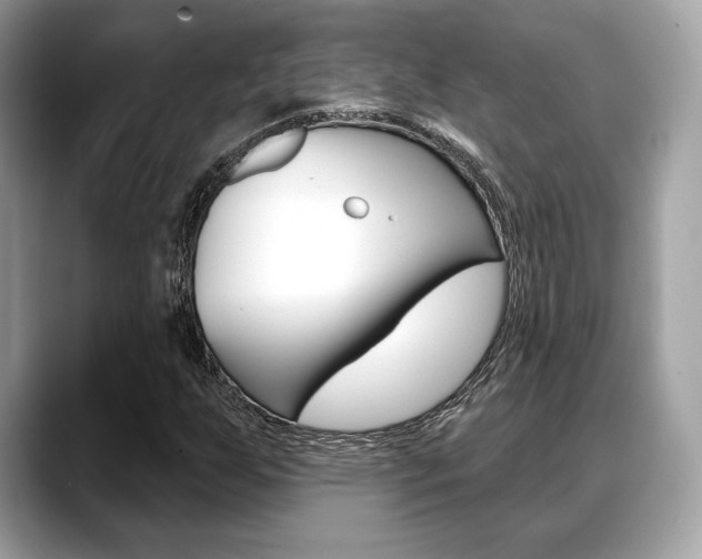 X0000088711255200705311032