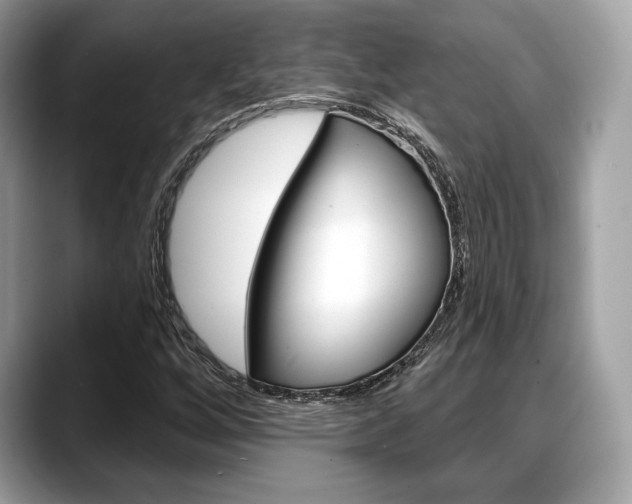 X0000088711256200705311032
