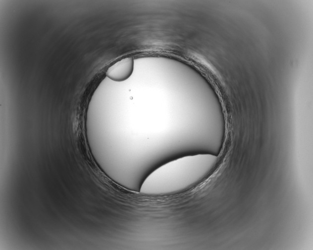 X0000088711259200705311032