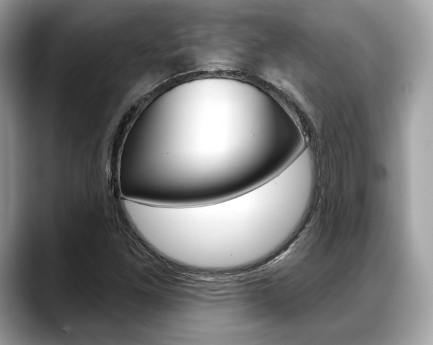X0000088711261200705311032
