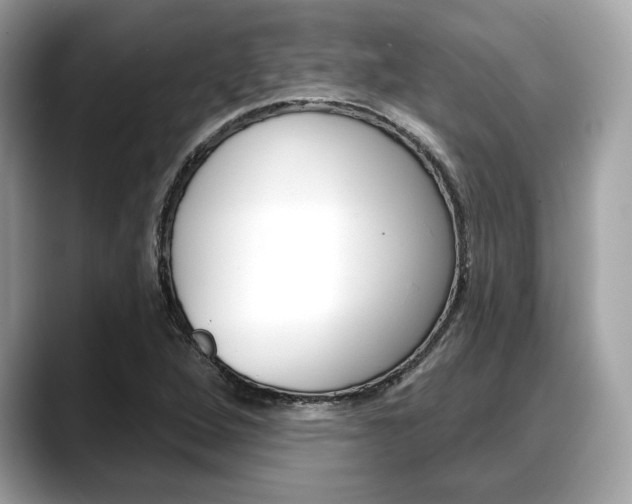 X0000088711264200705311032
