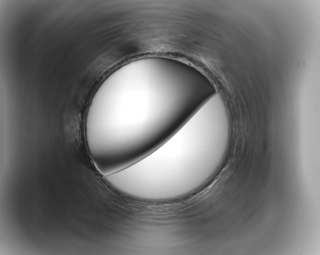 X0000088711265200705311032