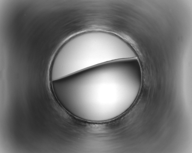X0000088711280200705311032