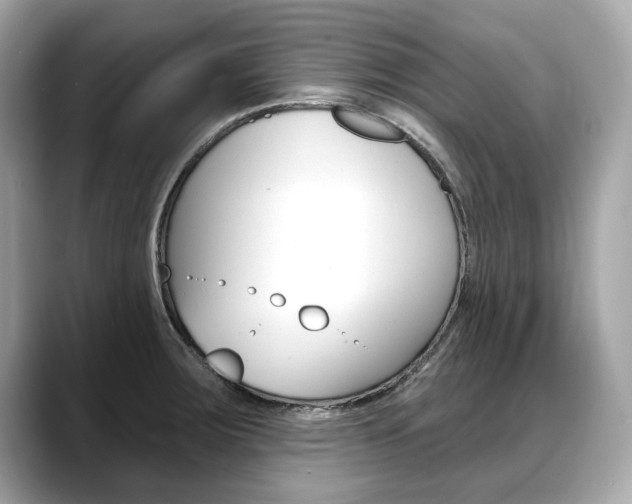 X0000088711283200705311032