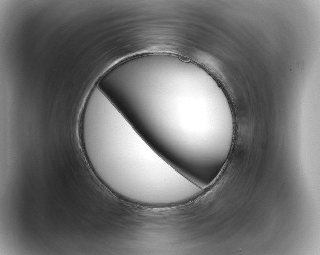 X0000088711284200705311032