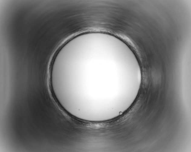 X0000088711286200705311032