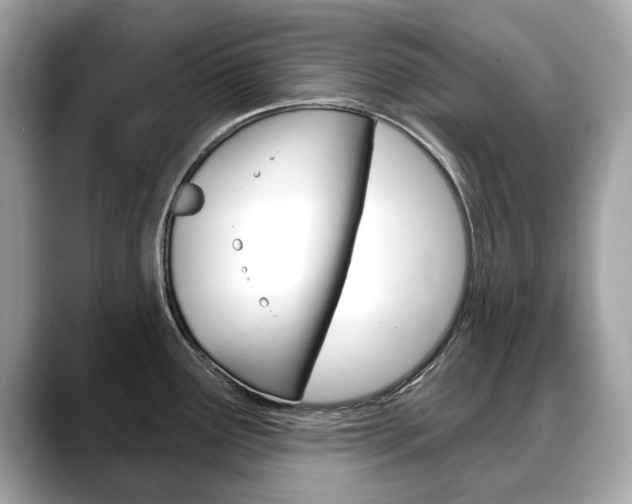 X0000088711291200705311032