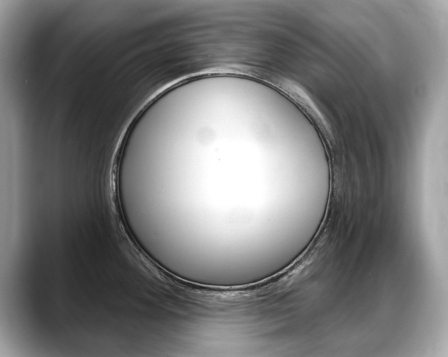 X0000088711292200705311032