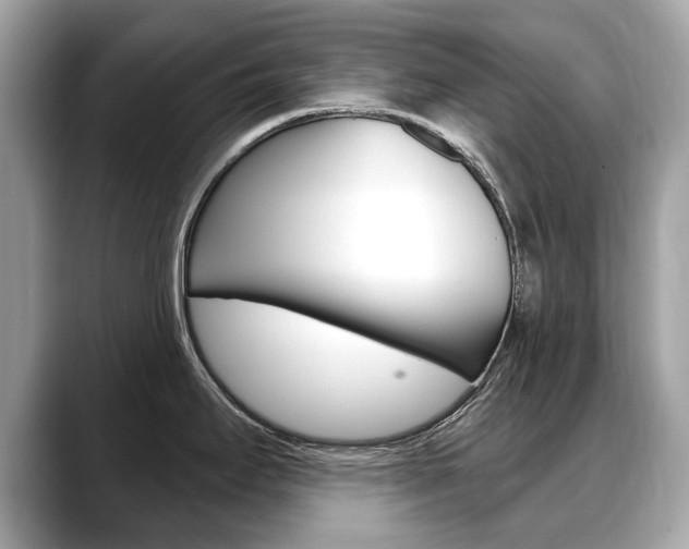 X0000088711295200705311032