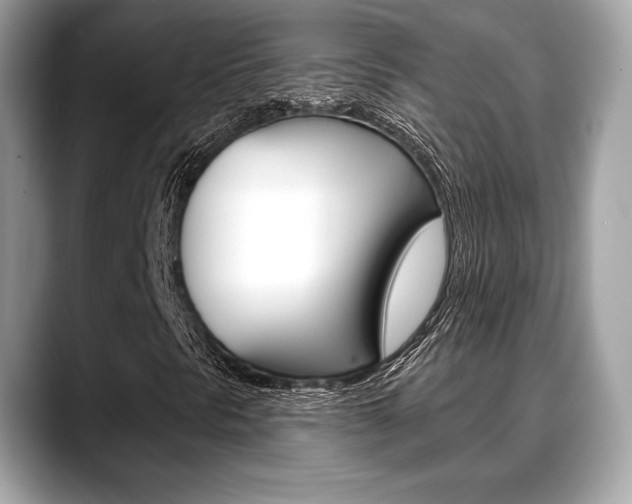 X0000088711297200705311031