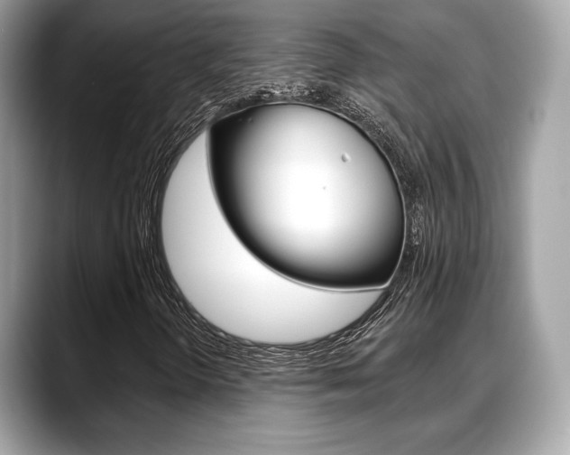 X0000088711298200705311031