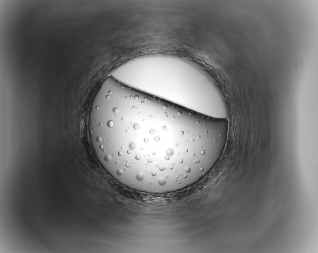 X0000088711302200705311031