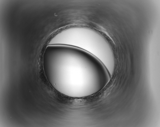 X0000088711304200705311031