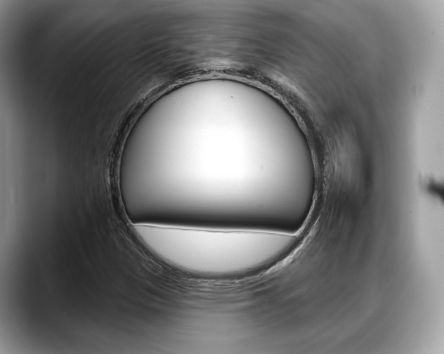 X0000088711305200705311031