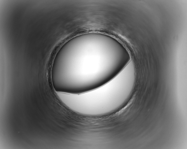 X0000088711309200705311031