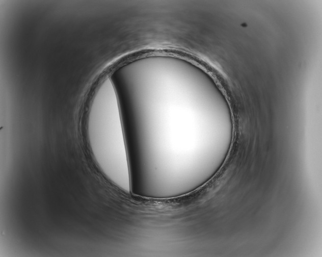 X0000088711311200705311031